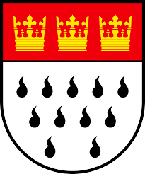 Uploaded image